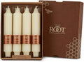 Root Candles 4-Count Unscented Dinner Candles Dripless Beeswax Enhanced Grecian Collenette Boxed Candle Set, 7-Inch, Ivory