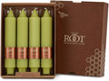 Root Candles 4-Count Unscented Dinner Candles Dripless Beeswax Enhanced Grecian Collenette Boxed Candle Set, 7-Inch, Willow