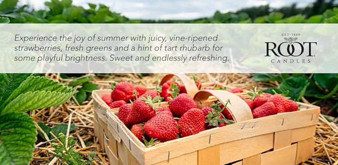 Root Candles Scented Candles Honeycomb Beeswax Blend Premium Handcrafted Candle, Small Veriglass, Strawberry Fields