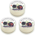 Pet House Mini Candles for Pet Odor Made with Natural Soy Wax, Plant Based, Dog and Cat Friendly Scented, BlackBerry Tea Pack of 3
