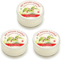 Pet House Mini Candles for Pet Odor Made with Natural Soy Wax, Plant Based, Dog and Cat Friendly Scented Candles, Hollyberry Pack of 3