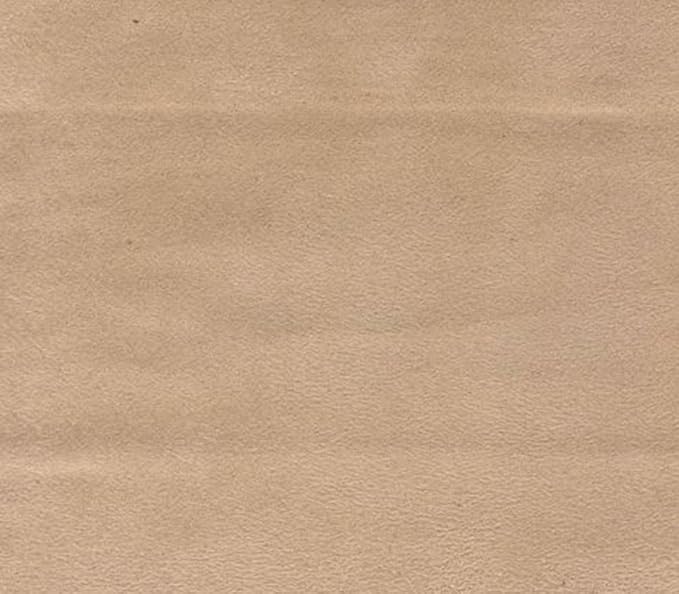 Micro/Passion Suede Fabric Warm Colors 58" Wide Sold by The Yard (58" W Continuous Yards/Seller Shipped, Oyster)