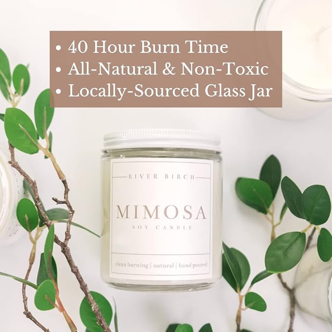 River Birch Candles Sea Salt & Citrus Scented Candle | Premium, All-Natural, Non-Toxic, Soy Candles | 8.5oz 40 Hr Burn Time | Cozy Relaxing Gifts for Home