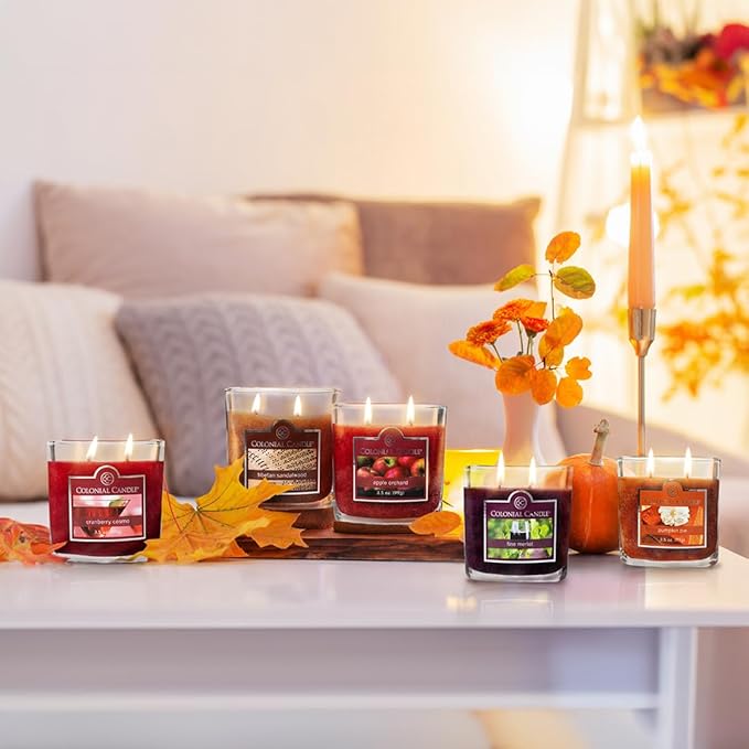 Colonial Candle Tibetan Sandalwood Scented Jar Candle, 2 Wick, 3.5 oz, Mottled Wax Candle