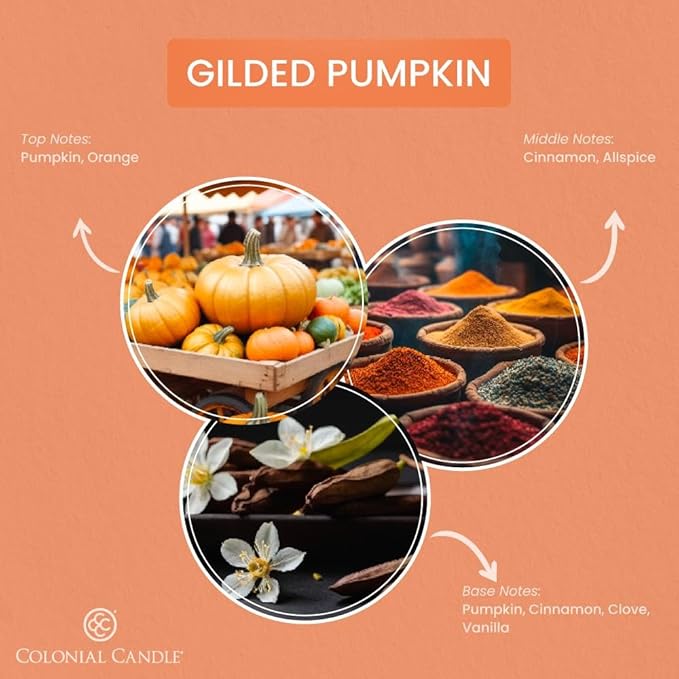 Colonial Candle Gilded Pumpkin Scented Jar Candle, Pop of Color Collection, 3 Wick, Orange, 14.5 oz - Up to 60 Hours Burn