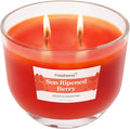 Carolina Freshens Sun Ripened Raspberry Odor Eliminating Highly Fragranced Candle for Home Scented, Eliminates 90% of Pet, Smoke, Food and Other Smells Quickly, 2 Wick, 14 oz - Made in The USA