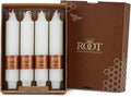 Root Candles 4-Count Unscented Dinner Candles Dripless Beeswax Enhanced Grecian Collenette Boxed Candle Set, 7-Inch, White