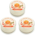 Pet House Mini Candles for Pet Odor Made with Natural Soy Wax, Plant Based, Dog and Cat Friendly Scented Candles, Orange Spice Pack of 3