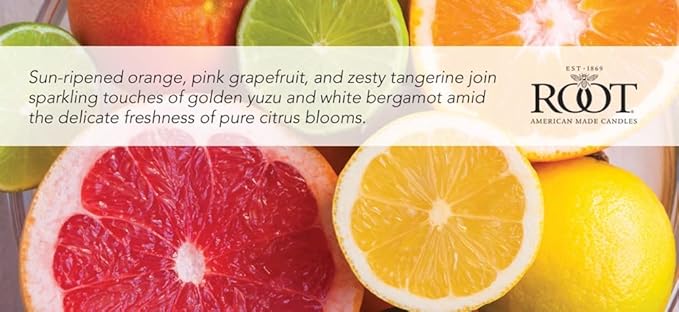 Root Candles Scented Candles Honeycomb Beeswax Blend Premium Handcrafted Candle, 12-Ounce 3-Wick, Citron & Bergamot