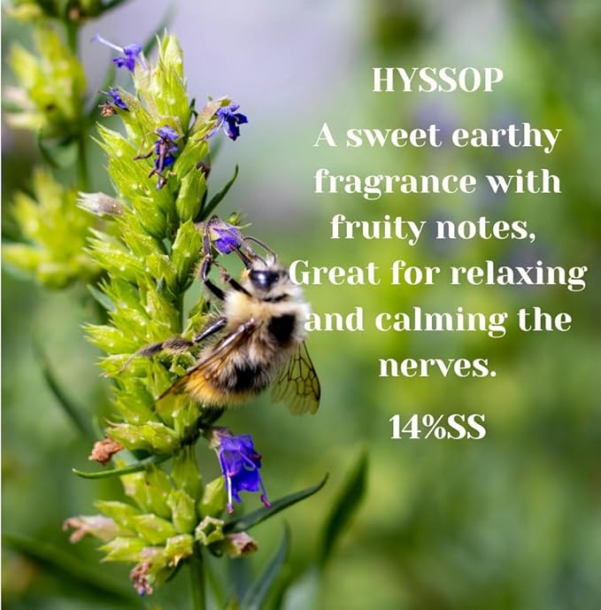 Hyssop from Our Floral Collection -14% SS- Perfect for Adding Aroma to Freshies, Candles, Soaps, and Diffusers - 32oz