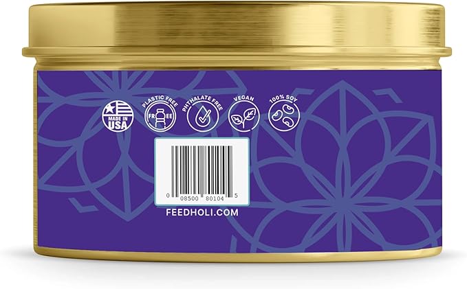 HOLI Pet Odor Eliminator Candle – Vanilla Suede Scent – All Natural Soy Wax, Paraben & Phthalate Free, Pet Safe, Long-Lasting 60-Hour Burn, Non-Toxic & Plastic-Free Air Freshener for Home