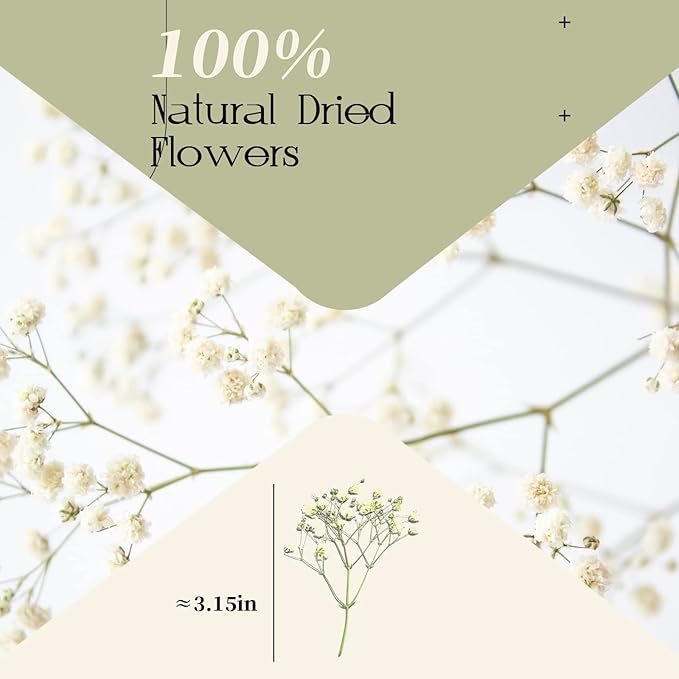 CONVELIFE Dried Babys Breath White, 48pcs Dried Flowers for Resin Pressed from Natural Flowers, Natural Pressed Flowers for Wedding Resin Art Craft DIY Card Making Home Party Decor (White)