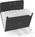 SKYDUE Expanding File Folde rwith 13 Pockets, Accordion File Organizer fits for A4/Letter Sized Paper, Accordion Folder with Labels - Document Receipt Organizer for Office, School, Home Blak