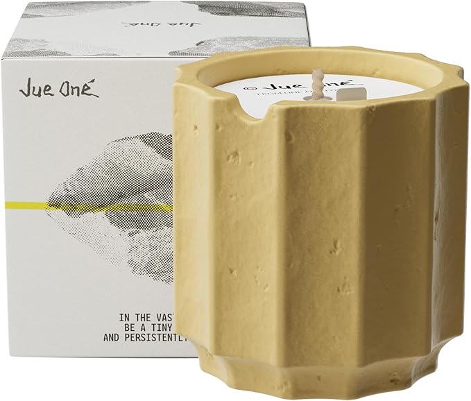 Scented Candles Set for Home, Natural Soy Wax Candle Gift, Non-Toxic Cement Jar Candles, Luxury Aromatherapy for Stress Relief, Highly Scented, Gifts for Women and Men (Tam Dao)