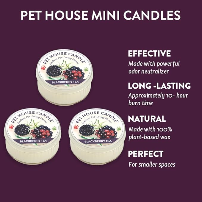 Pet House Mini Candles for Pet Odor Made with Natural Soy Wax, Plant Based, Dog and Cat Friendly Scented, BlackBerry Tea Pack of 3