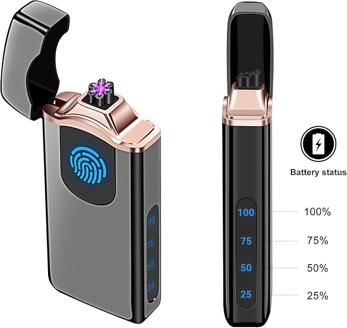 Triple Arc Plasma Lighter 500 mAh Battery USB Rechargeable Windproof Cool Lighter (Black)