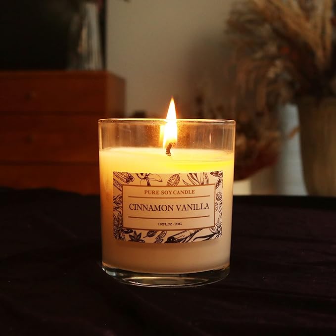 Aronica Non Toxic Candle - Soy Cinnamon Vanilla Scent, Highly Scented Spring Candle for Home, New Home Gift, Luxury Scents