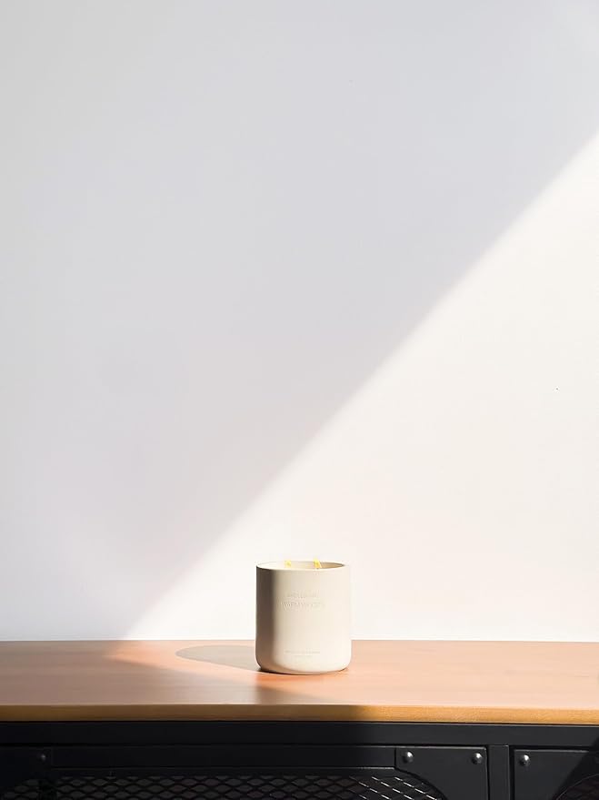 WHOLESOME. Orange Tangerine Scented Non-Toxic Candles for Home, 2 Wicks Natural Coconut Wax Candle Eco-Friendly, Luxury Aromatherapy Candles Stress Relief, 16 oz Large Concrete Jar, 90 Hours Burn