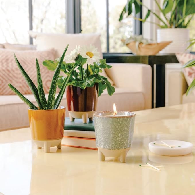 Modern Sprout Glow and Grow Kit - 2 in 1 Scented Candle That Grows into a Aloe Plant - 12 oz Soy Candle with 78 hr Burn time in Glaze Ceramic Vessel - Planter Ideal for Home Decor Aesthetic