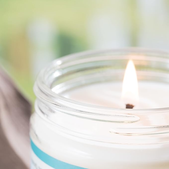 White Sage Candles for Cleansing House Chakra Healing | Energy Cleansing Smudge Candle | Natural Aromatherapy Candle | Sage for Cleansing House Negative Energy (7 oz) (White Sage)