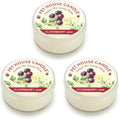 Pet House Mini Candles for Pet Odor Made with Natural Soy Wax, Plant Based, Dog and Cat Friendly Scented Candles, Elderberry Jam Pack of 3
