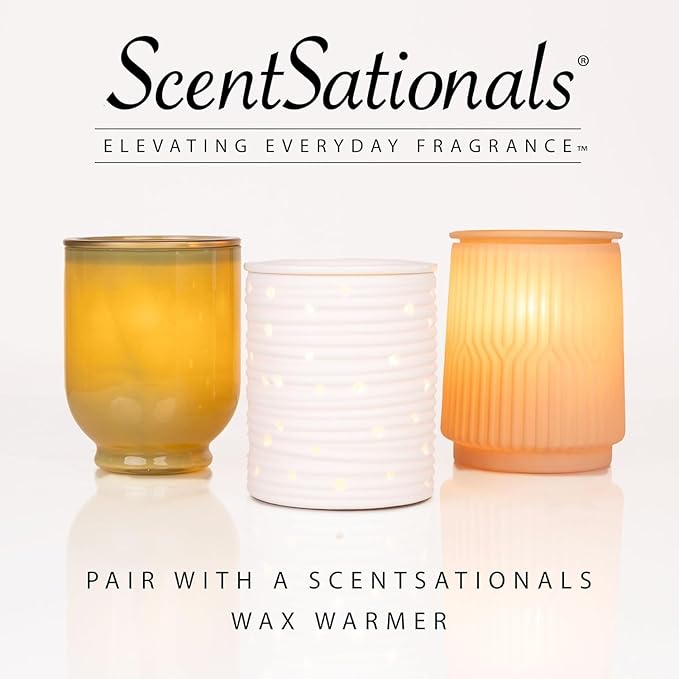 Scentsationals Wax Melts Strong Scent - Woodland Spruce - Long Lasting Scented Wax Cubes for Warmers, 10oz (24-Cubes)
