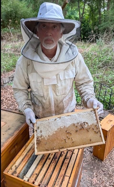 Six Pounds - Swampland Bees & Co., Florida. 100% Naturally Premium Yellow/Golden Beeswax. Ideal for Candles, Cosmetics, waxing bee Frames, etc. Triple Filtered & Hand Poured into SIX - 1lb Bars