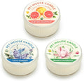 Pet House Mini Candles for Pet Odor Made with Natural Soy Wax, Plant Based, Dog and Cat Friendly Scented Candles, Spring Mix Variety Pack of 3