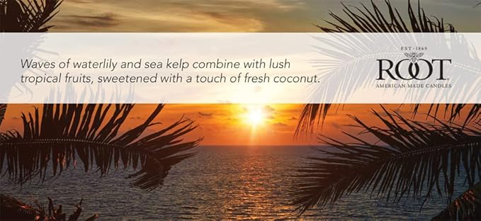 Root Candles Scented Candles Honeycomb Beeswax Blend Premium Handcrafted Candle, Small Veriglass, Coastal Sunrise