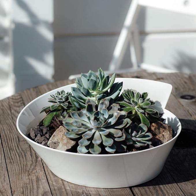 Villeroy & Boch NewWave Collection Large Round Serving Bowl, Premium Porcelain, Made in Germany, 94.5 oz Capacity, 13.5 in Diameter, 5.6 in Tall, Rich, Creamy White