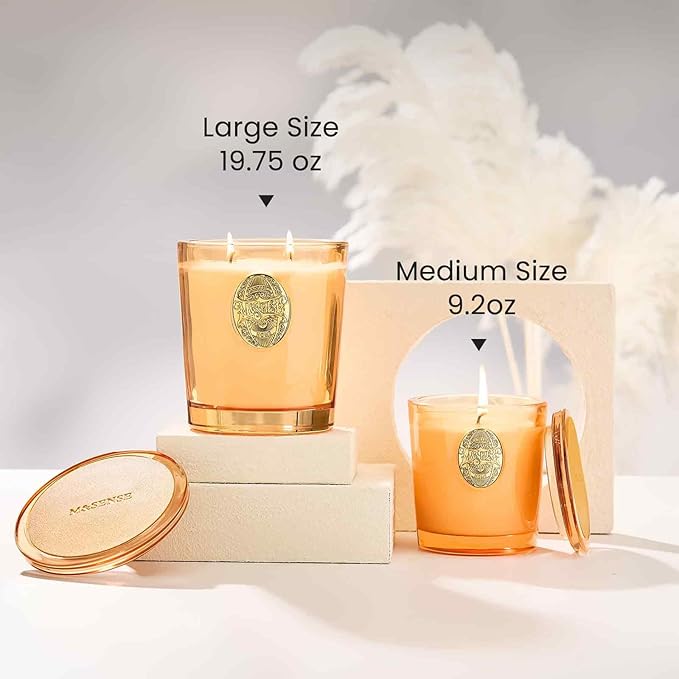 M&SENSE Large Two-Wick Soy Candle | Basil Ginger & Orange | 19.8 oz, 120H Burn Time | Luxury Scented Candle for Relaxation, Gifting, Home Décor | Ideal for Bedroom, Office, Party Ambiance