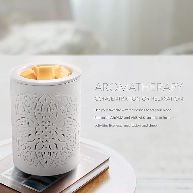 Earnest Living Ceramic Electric Wax Melt Warmer Wax Warmer for Scented Wax Cubes Tart Candle Warmer Oil Burner Fragrance Melter White for Home Office Bedroom Aromatherapy Gift Decor