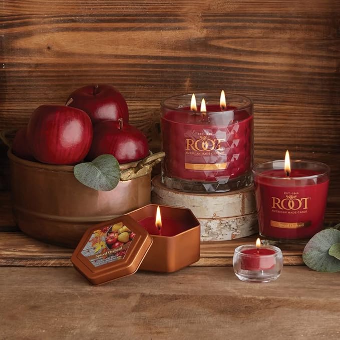 Root Candles Fall Scented Candles in Travel Tin 24-Hour Honeycomb Traveler Handcrafted Beeswax Blend Candle, 4-Ounce, Spiced Orchard