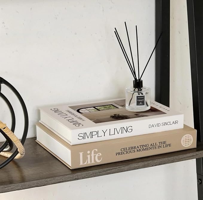Decorative Books for Home Decor,2 Pcs Modern Minimalist Faux Book for Home Decoration,Coffee Table Decor,Living Room Aesthetic Accent (E1)
