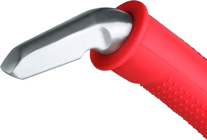 Valorcielo Auto Cane Portable Vehicle Support Handle, Car Door Assist Bar, Supports up to 300 Pounds, Car Door Handle for Elderly (Red)