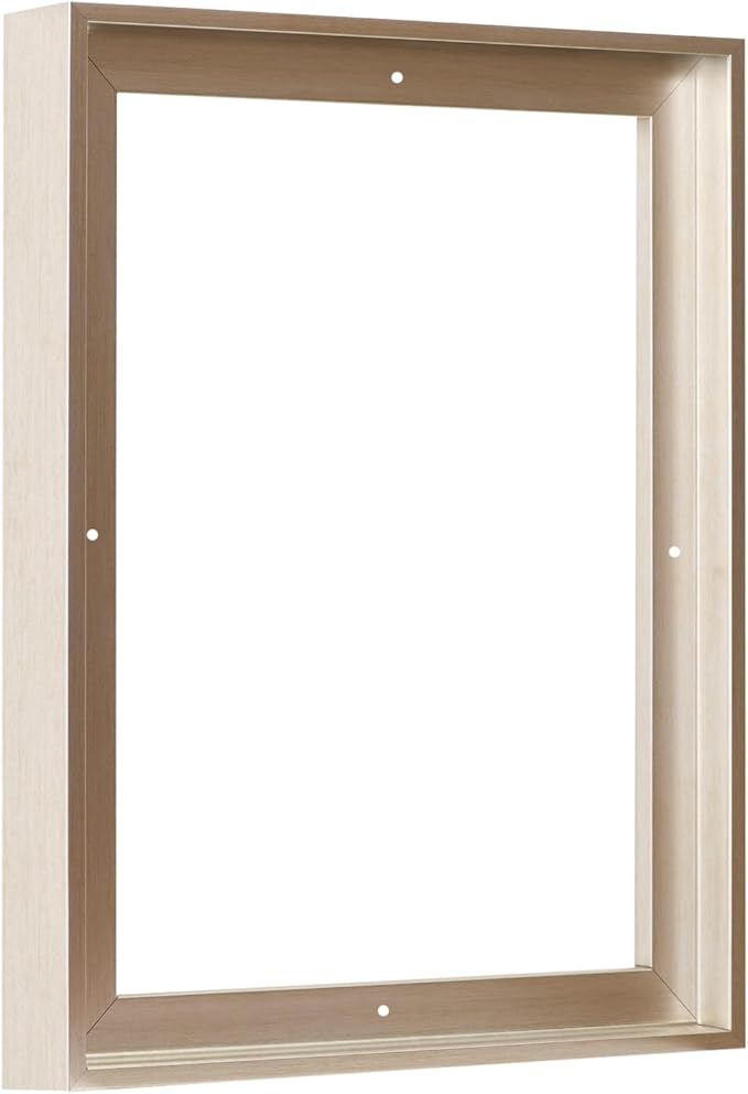 Pixy Canvas Floater Frame 16x48 for 1-1/2 (1.5) inch Deep Canvas Paintings/Canvas Prints/Wood Canvas Panels/Wall Art/Wall Decor/Home Decor/Artwork (Champagne, 16 x 48 inch, Portrait)