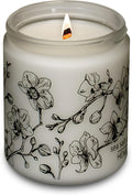 Hemlock Park Frosted Glass Wood Wick Candle Handcrafted with Natural Coconut Wax (Standard 8 oz, Sea Salt Orchid)