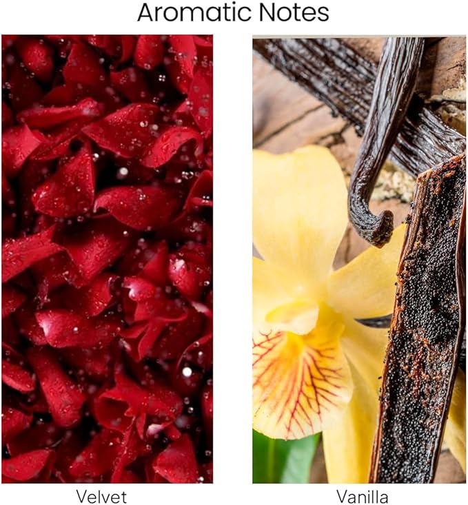 Natur IX Embrace Scented Candles for Home | Velvet & Vanilla | Natural Non Toxic Soy Candles with Essential Oils | 50 H Long Burning