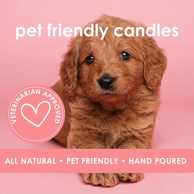 Stress-Free | Pet Safe Candle | Coconut Apricot Wax | Soy-Free | Non-Toxic | Dog & Cat Safe Candle | Pet Odor Eliminator | Air Freshening Scented Candles | Veterinarian Approved | 9 oz