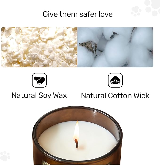 Odor Eliminating Candle, White Rose Scented Candle, Pet-Friendly Soy Candles, 60 Hours, 7 oz