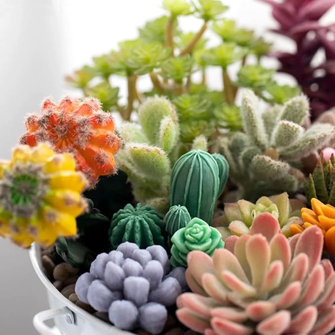 MGLIFEUL 10Pcs Succulent Cactus Plant Flower Silicone Resin Candle Soap Mold for Scented Candles Resin Soap Making Molds 3D Silicone Shapes Moldes De