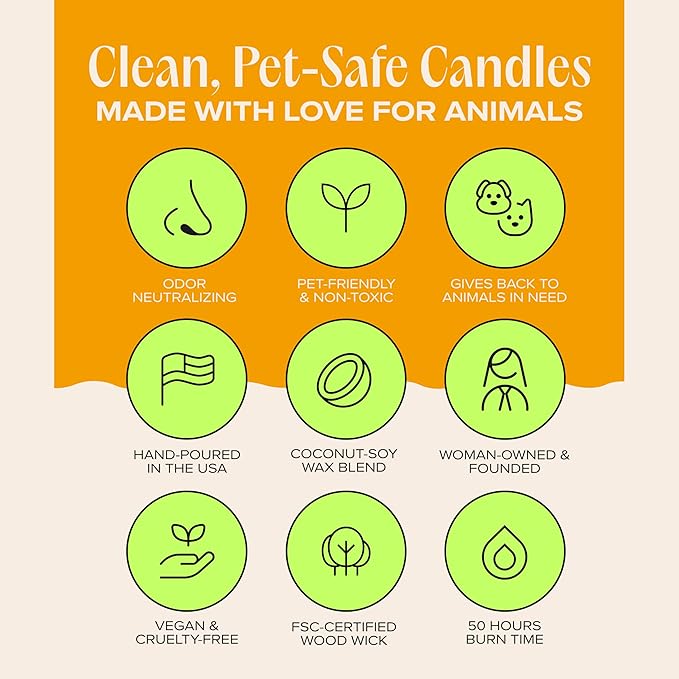 Companion Candles You Got This! Pet-Friendly Scented Candle – Tropical Nectar & Fruits Fragrance - Coconut Soy Wax Candle with Wooden Wick, Approx. 50-Hour Burn Time, Made in USA, 11.8 oz