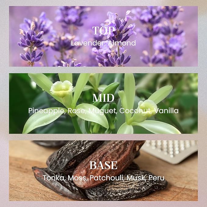 M&SENSE Lavender Vanilla Candles for Home Scented, 2 Wick 12.7oz Soy Wax Candles Non Toxic,70 Hours Long Burning,Christmas Candles Gift for Stress Relief, Meditation, Yoga