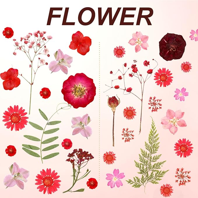 Dried Pressed Flowers Real Pressed Flowers Natural Dry Leaves Bulk Mixed Colorful Herbs Kit with Tweezers for Scrapbooking DIY Candle Jewelry Crafts Making Nails (Red)