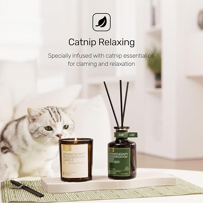 Odor Eliminating Candle, Vanilla Popcorn Scented Candle, Pet-Friendly Soy Candles, 60 Hours, 7 oz