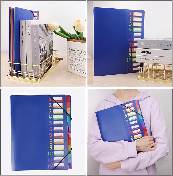 Edufun Rainbow Tab Expanding File Folder - 24 Pockets, Durable A4 Letter Size Organizer, Water-Resistant Plastic Dividers, Home/Office/School Document Holder (Blue)