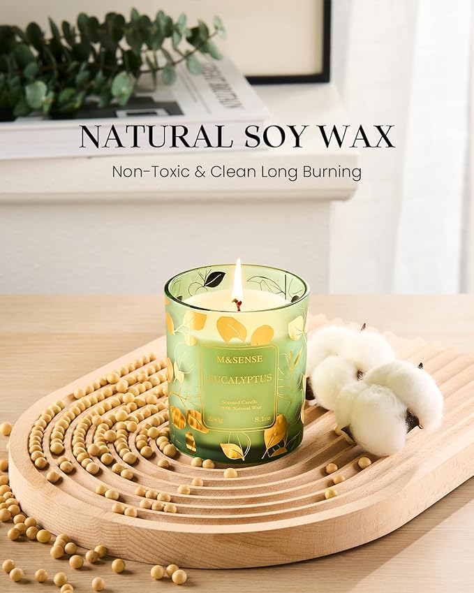 M&SENSE Eucalyptus Vegan Soy Candles, 8.1oz 42-Hour Slow Burning Non Toxic, Winter Aromatherapy Candle for Relaxing Calming, Housewarming New Year Gifts for Women & Men