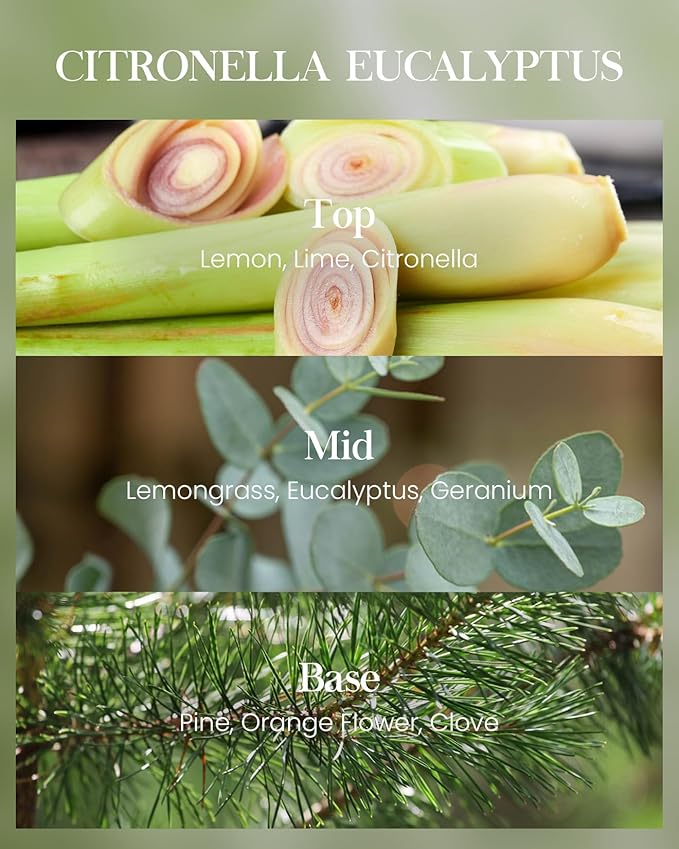 M&SENSE Citronella Candles Outdoor, Citronella Eucalyptus Scented Candle 19.4 oz,Eucalyptus Lemongrass Candle Outdoor,Lemongrass Summer Citronella Candles for Patio Camping, 110 Hours Burn