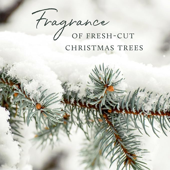 Thymes Frasier Fir Votive Candle Set of 3 - Scented Candles for Home - Luxury Home Fragrance Gifts for Women & Men - Home Decor (Pack of 3-2 Oz)