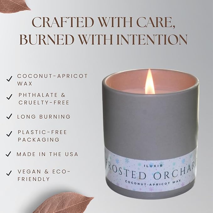 Frosted Orchard Luxury Candle for Fall Décor – Refreshing Scented Candles with Citrus Pine Juniper & Sage– Handcrafted Non-Toxic Candles, Phthalate-Free Cruelty-Free Coconut Wax Candle (13 oz.)